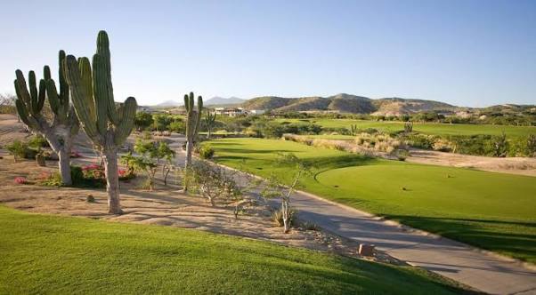 Campo golf Los Cabos